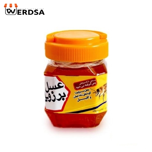  عسل گشنیز 500 گرمی صاف 